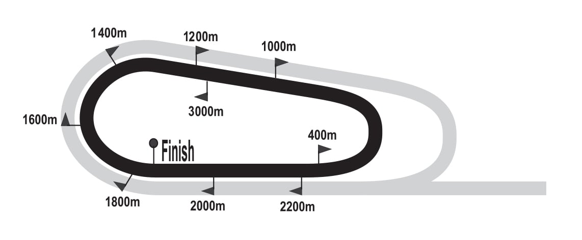 FairviewPolytrack