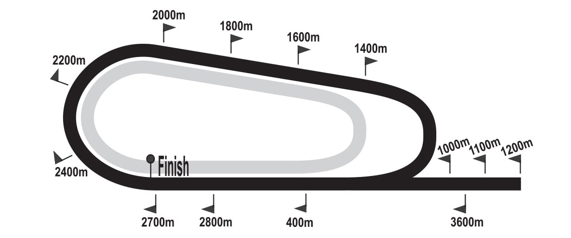 FairviewTurfTrack