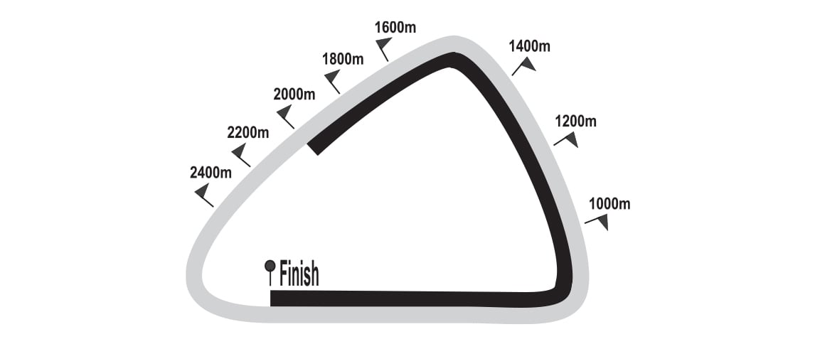 GreyvillePolytrack