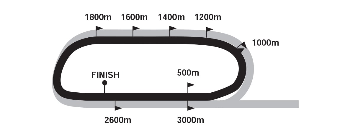 TurffonteinInsideTrack